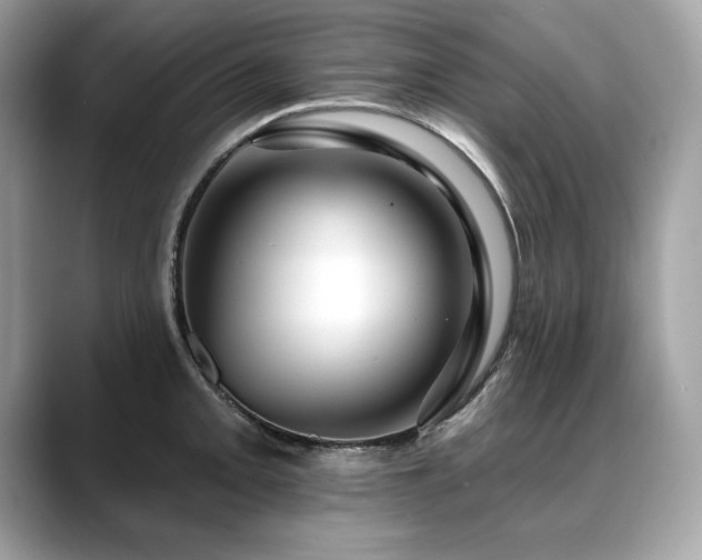 X0000088751093200705311507