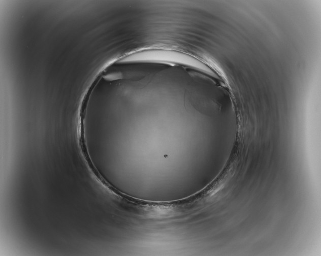 X0000088751095200705311507