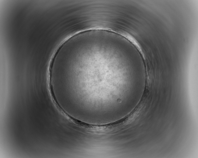 X0000088751096200705311507