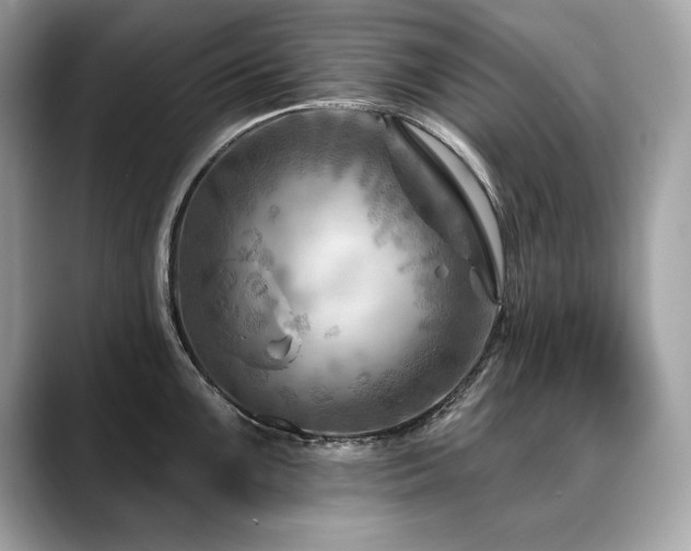 X0000088751099200705311507