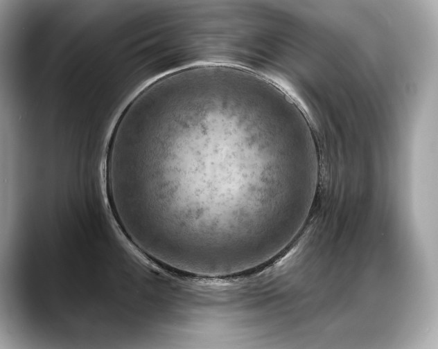 X0000088751100200705311507