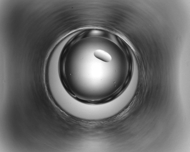 X0000088751101200705311507