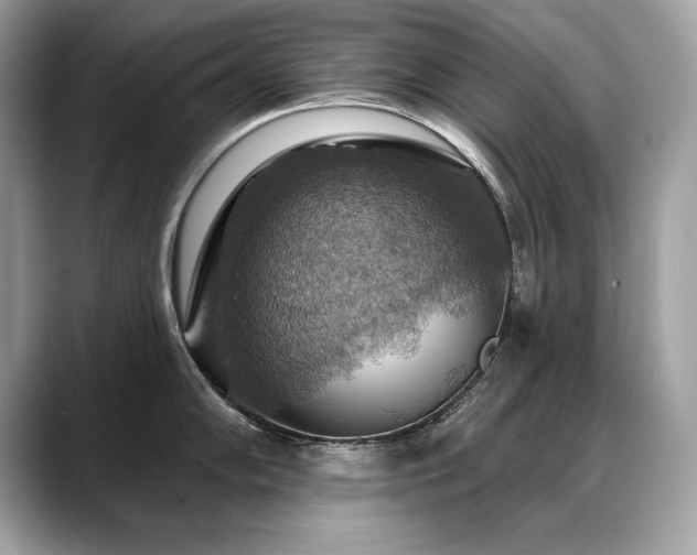 X0000088751102200705311507
