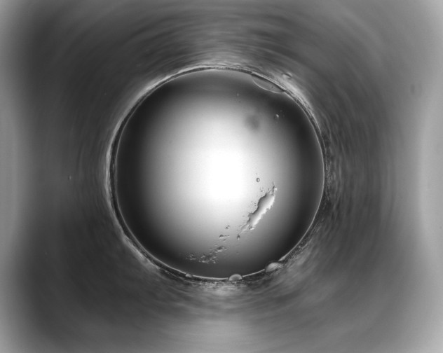 X0000088751103200705311507