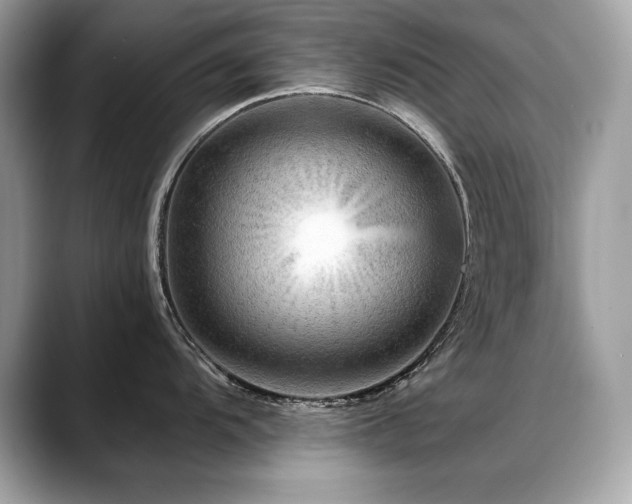 X0000088751104200705311507