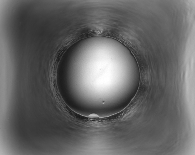 X0000088751105200705311507