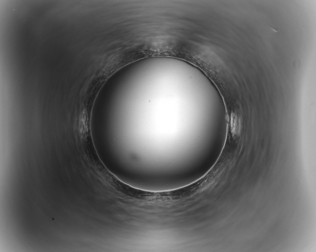 X0000088751107200705311507