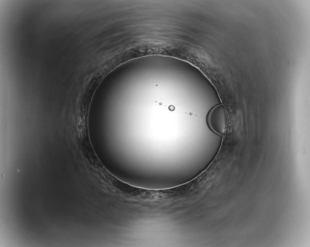 X0000088751109200705311507