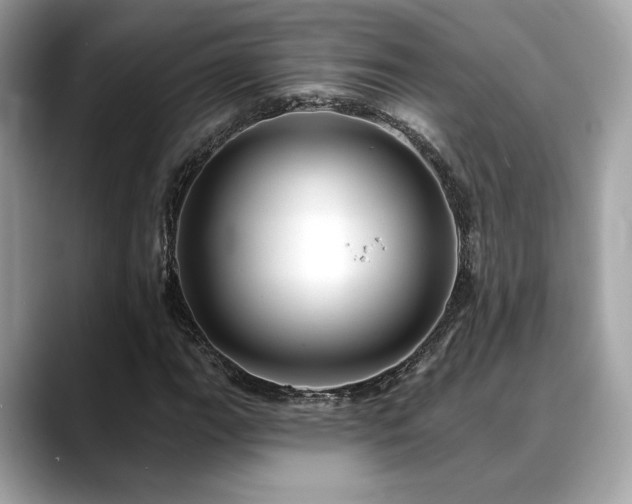 X0000088751111200705311507