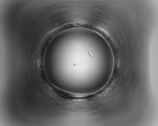 X0000088751112200705311507