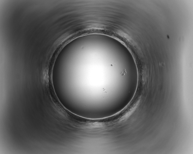 X0000088751113200705311507