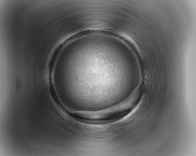 X0000088751114200705311507