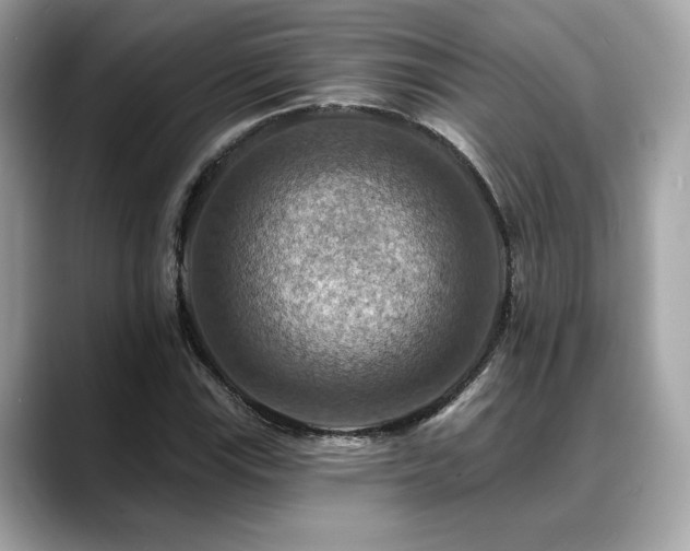 X0000088751115200705311507