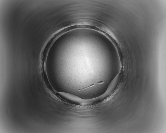 X0000088751116200705311507