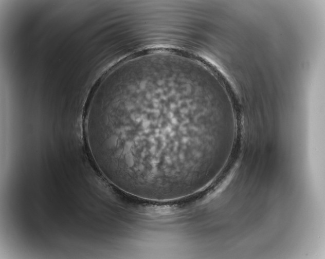 X0000088751121200705311507