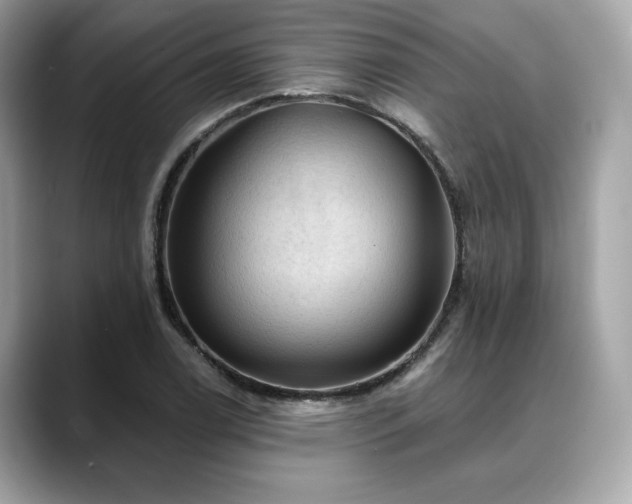 X0000088751122200705311507