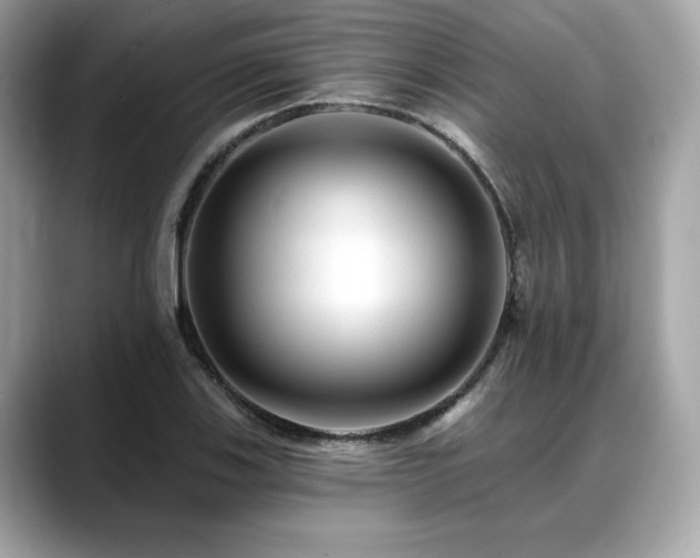 X0000088751123200705311507
