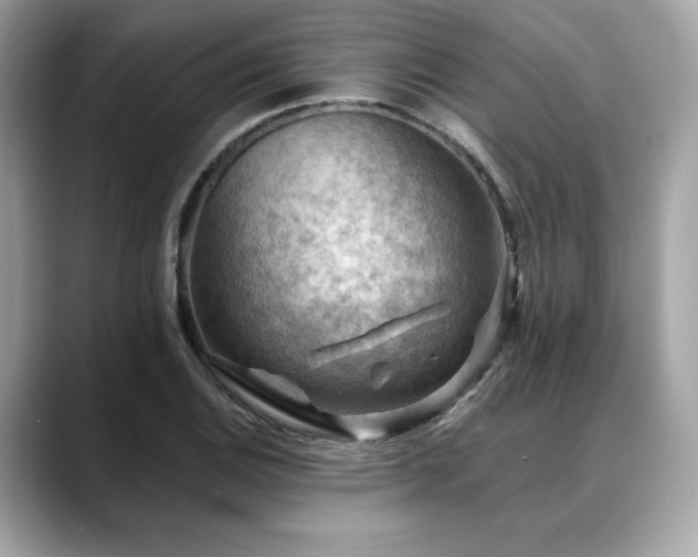 X0000088751124200705311507