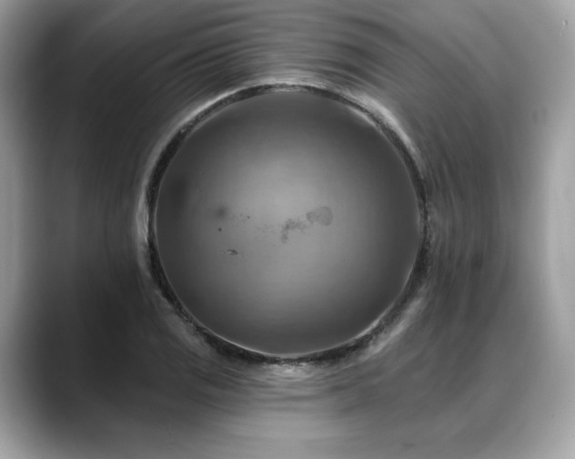 X0000088751125200705311507
