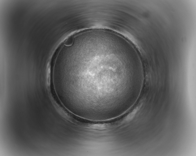X0000088751126200705311507
