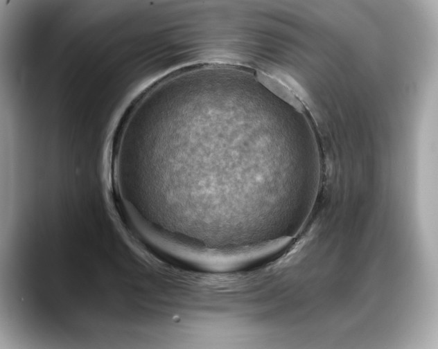 X0000088751128200705311507