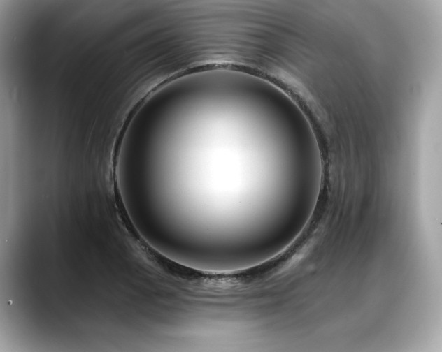 X0000088751129200705311507