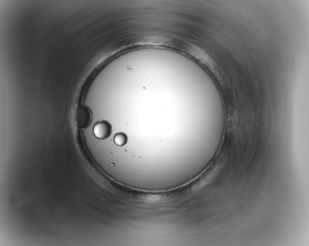 X0000088751130200705311507