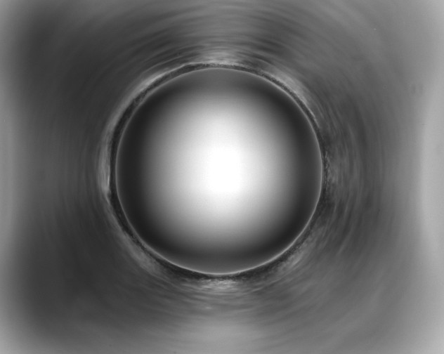 X0000088751131200705311507