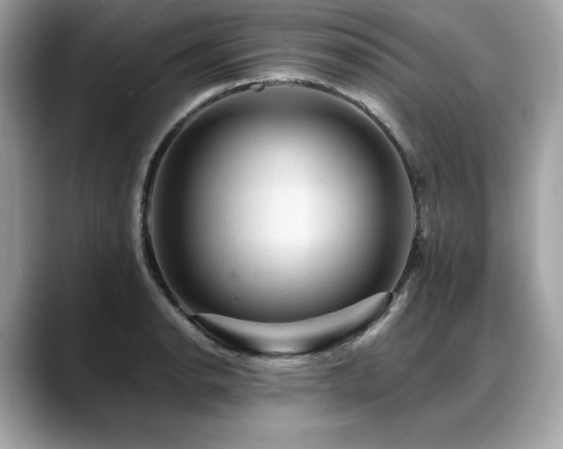 X0000088751134200705311507