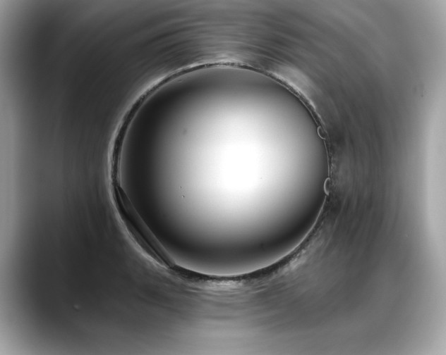 X0000088751135200705311507