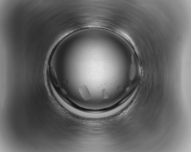 X0000088751138200705311507