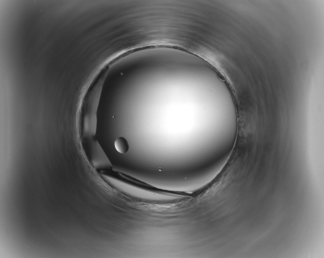 X0000088751140200705311507
