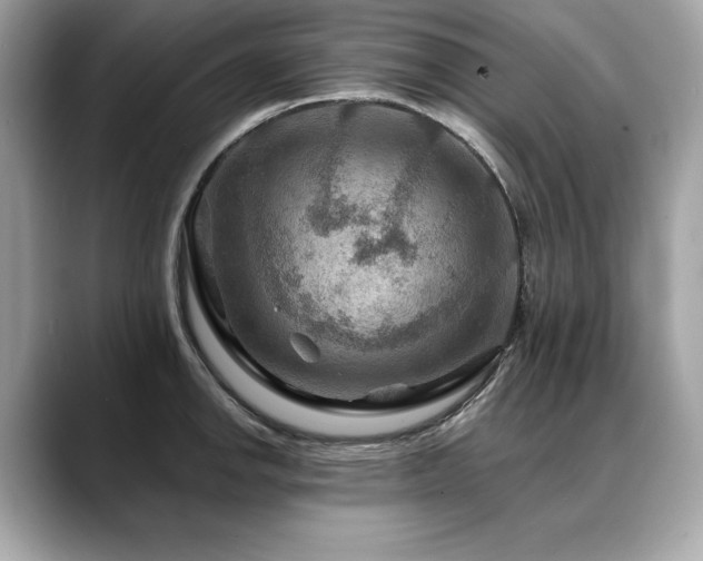 X0000088751142200705311507