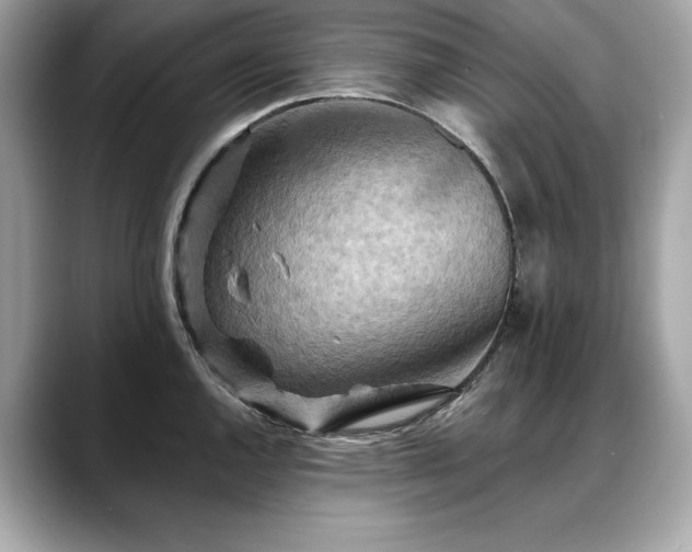 X0000088751144200705311507