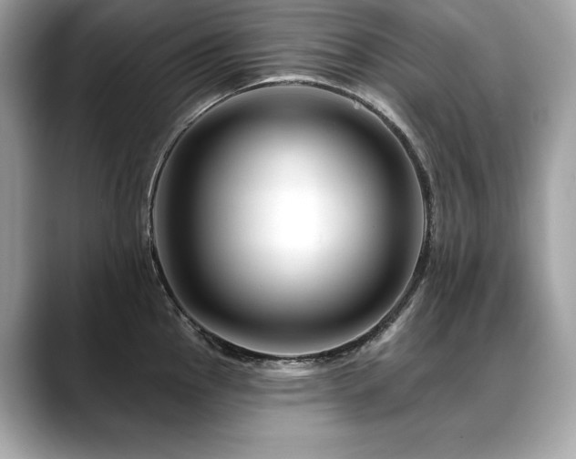 X0000088751145200705311507