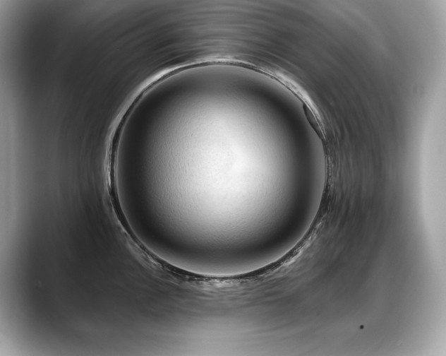 X0000088751148200705311507