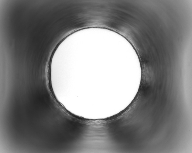 X0000088751150200705311507