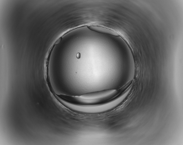 X0000088751151200705311507
