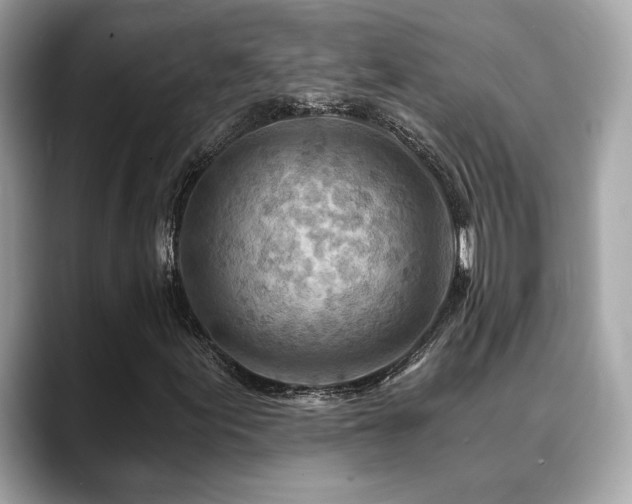 X0000088751155200705311507