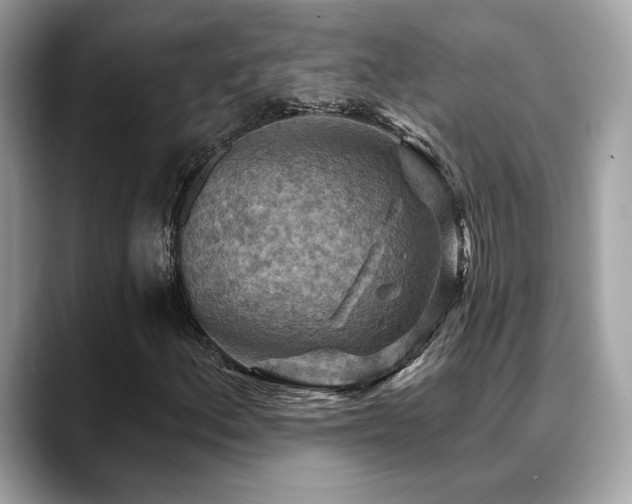 X0000088751156200705311507