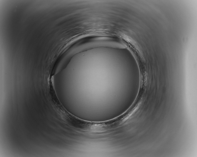X0000088751161200705311506