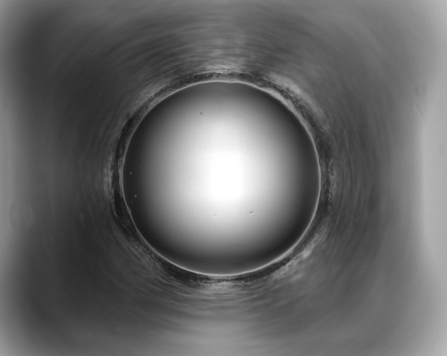 X0000088751162200705311506