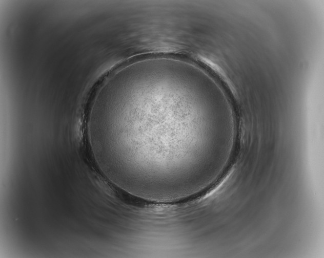 X0000088751163200705311506