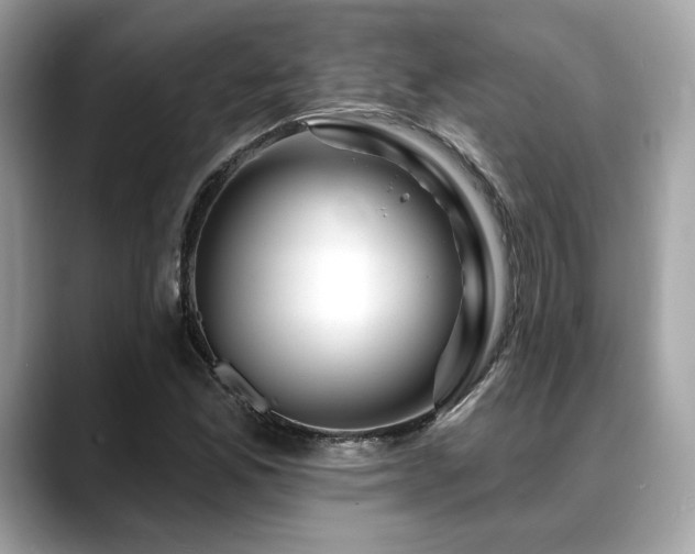 X0000088751165200705311506