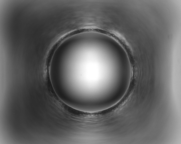 X0000088751167200705311506