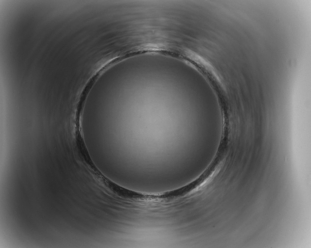 X0000088751170200705311506