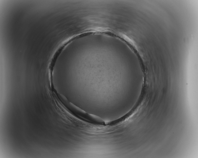 X0000088751171200705311506