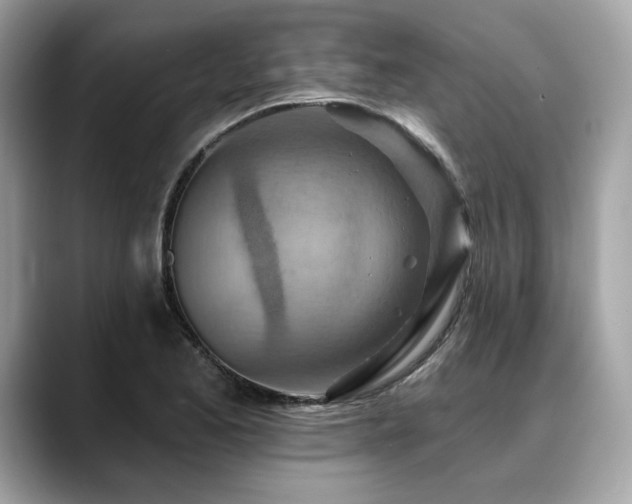 X0000088751173200705311506