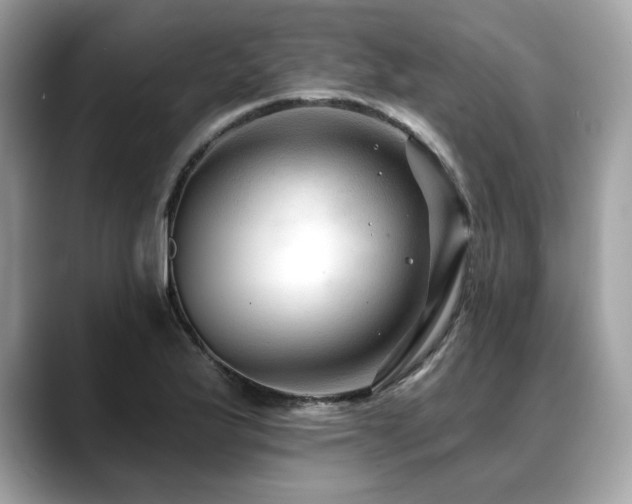 X0000088751175200705311506