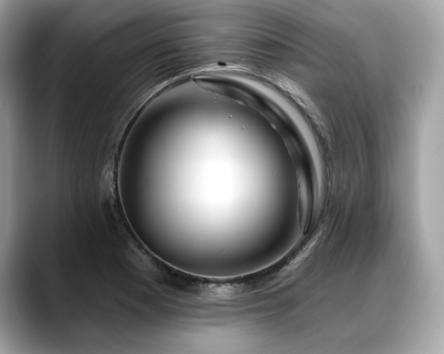 X0000088751177200705311506